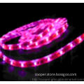 LED light SMD Flexible Led  Strip Light smd3528 Neon Lights waterproof